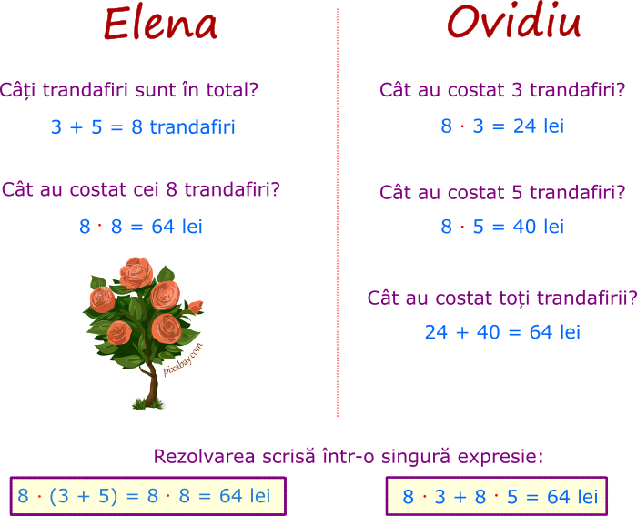 Elena și Ovidiu vor să planteze trandafiri în grădină; Elena a cumpărat 3 trandafiri, iar Ovidiu 5 trandafiri. Fiecare trandafir a costat 8 lei. Copiii vor să afle cât au costat toți trandafirii. 