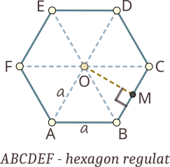 Hexagonul regulat ABCDEF; diagonalele formează 6 triunghiuri echialterale; diagonala este dublul lungimii laturii; apotema se calculează după formula înălțimii în triunghiul echilateral.