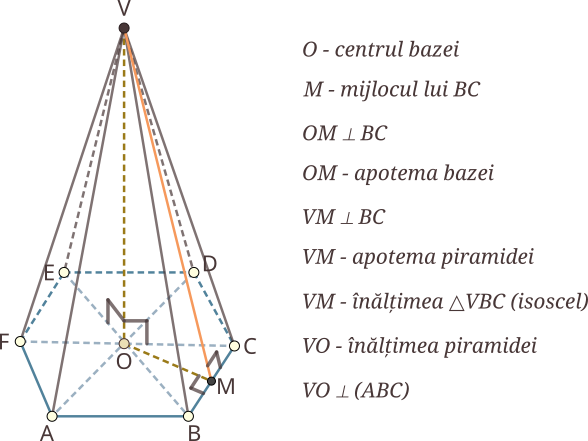 Apotema piramidei regulate unește vârful piramidei cu mijlocul uneia dintre laturile bazei; apotema piramidei regulate este înălțimea unei fețe laterale; fața laterală a unei piramide regulate este triunghi isoscel, muchiile laterale fiind laturile congruente (egale) ale acesteia; înălțimea piramidei regulate unește centrul bazei cu vârful piramidei; într-o piramidă regulată, înălțimea piramidei este perpendiculară pe planul bazei.