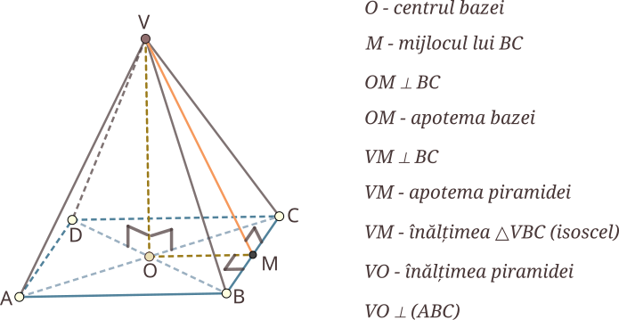 Apotema piramidei regulate unește vârful piramidei cu mijlocul uneia dintre laturile bazei; apotema piramidei regulate este înălțimea unei fețe laterale; fața laterală a unei piramide regulate este triunghi isoscel, muchiile laterale fiind laturile congruente (egale) ale acesteia; înălțimea piramidei regulate unește centrul bazei cu vârful piramidei; într-o piramidă regulată, înălțimea piramidei este perpendiculară pe planul bazei.