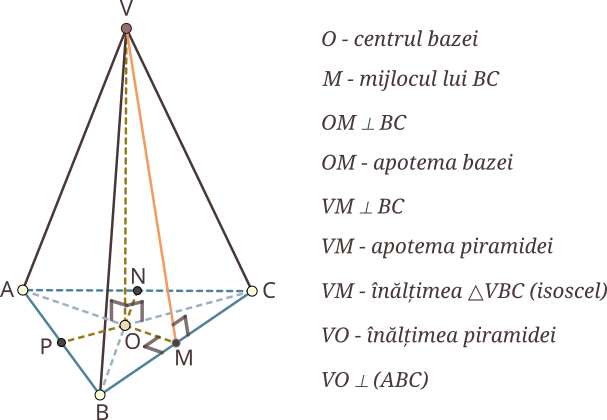Apotema piramidei regulate unește vârful piramidei cu mijlocul uneia dintre laturile bazei; apotema piramidei regulate este înălțimea unei fețe laterale; fața laterală a unei piramide regulate este triunghi isoscel, muchiile laterale fiind laturile congruente (egale) ale acesteia; înălțimea piramidei regulate unește centrul bazei cu vârful piramidei; într-o piramidă regulată, înălțimea piramidei este perpendiculară pe planul bazei.