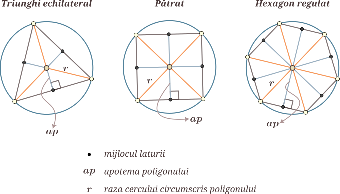 Apotema (doar în cazul poligoanelor regulate) este un segment care unește centrul poligonului cu mijlocul unei laturi. Centrul unui poligon (regulat) este centrul cercului circumscris acestuia.