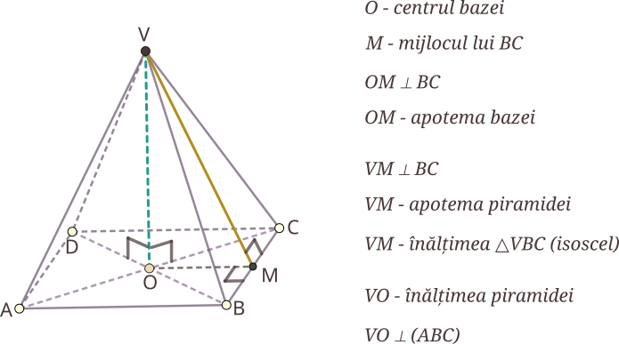 Apotema piramidei regulate unește vârful piramidei cu mijlocul uneia dintre laturile bazei; apotema piramidei regulate este înălțimea unei fețe laterale; fața laterală a unei piramide regulate este triunghi isoscel, muchiile laterale fiind laturile congruente (egale) ale acesteia; înălțimea piramidei regulate unește centrul bazei cu vârful piramidei; într-o piramidă regulată, înălțimea piramidei este perpendiculară pe planul bazei.