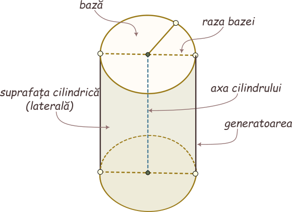 Elementele cilindrului circular drept: cele două baze sunt discuri (cercuri plus interioarele lor) congruente (cu raze egale), situate în plane paralele; razele bazelor; axa de rotație a cilidrului (segmentul determinat de centrele bazelor); generatoarea cilidrului (segmentul determinat de două puncte de pe bazele acestuia, paralel cu axa de rotație); suprafața cilindrică (suprafața laterală).