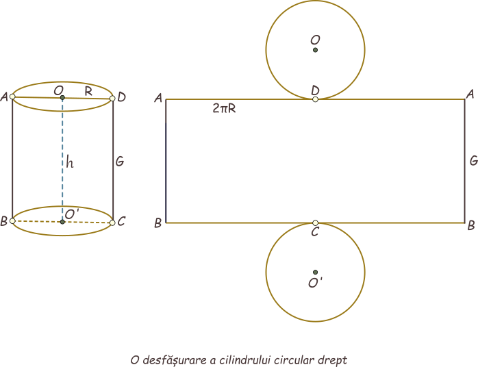 O desfășurare a cilindrului circular drept.