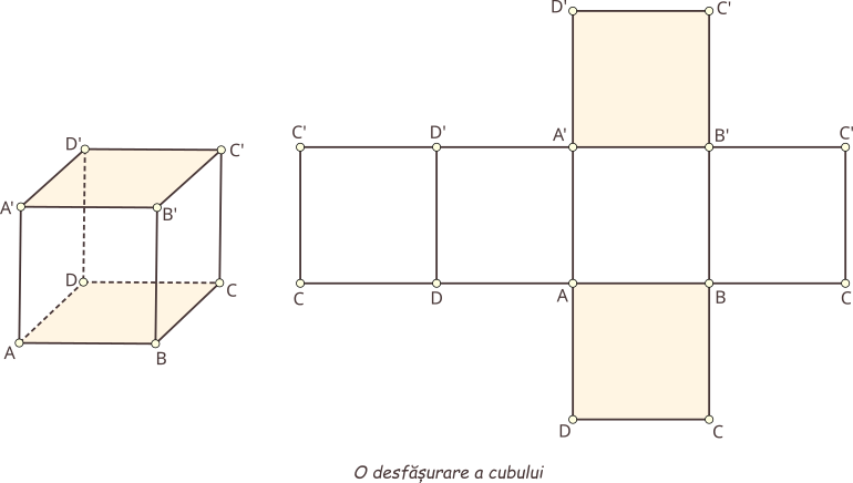  O posibilă desfășurare a cubului (toate fețele sunt pătrate).