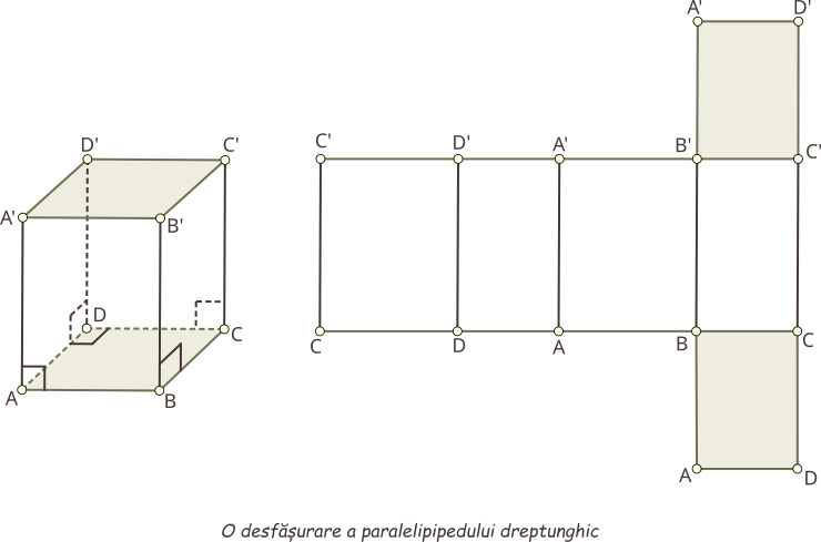  O posibilă desfășurare a paralelipipedului dreptunghic.