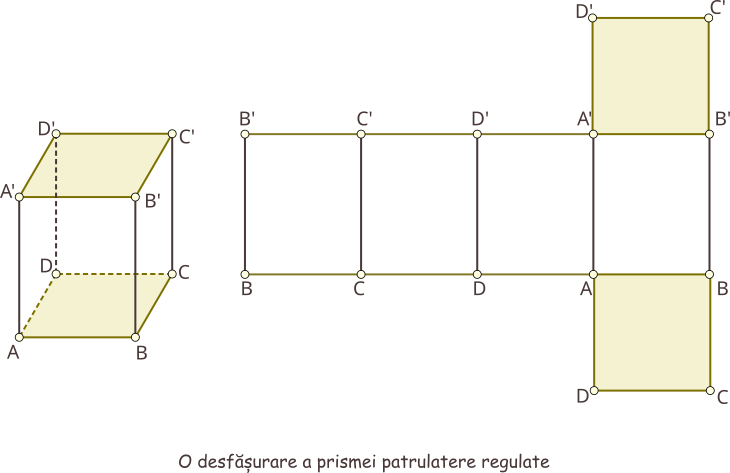 O posibilă desfășurare a prismei patrulatere regulate (bazele sunt p[trate congruente).