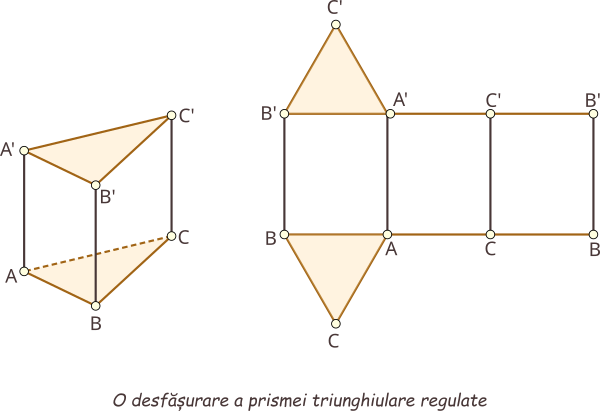 Desfășurarea prismei triunghiulare regulate (bazele sunt triunghiuri echilaterale congruente).