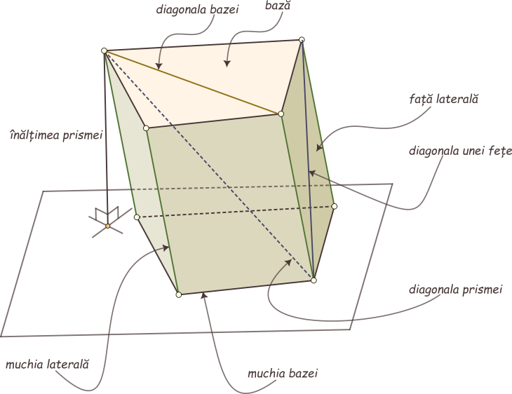 Elementele prismei: fețele laterale, vârfurile, muchiile bazelor, muchiile laterale, diagonalele prismei - sunt segmentele determinate de două vârfuri ale prismei, care nu aparțin aceleiași fețe, diagonalele bazei - segmentele care unesc două vârfuri ale aceleiași baze, diagonalele unei fețe - sunt segmentele care unesc două vârfuri ale aceleiași fețe, înălțimea prismei - este distanța dintre bazele acesteia (este perpendiculara comună celor două baze).