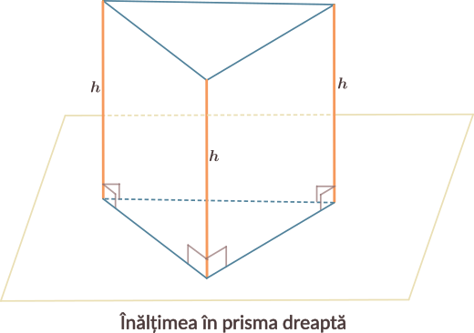 Într-o prismă dreaptă, orice muchie laterală este și înălțime.