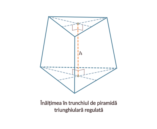 Într-un trunchi de piramidă regulată (adică are baza poligon regulat - cu laturile egale), înălțimea este segmentul care unește centrele cercurilor circumscrise bazelor.