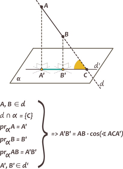 Lungimea proiecției unui segment pe un plan este egală cu produsul dintre lungimea segmentului și cosinusul unghiului dintre dreapta suport a segmentului și planul dat.