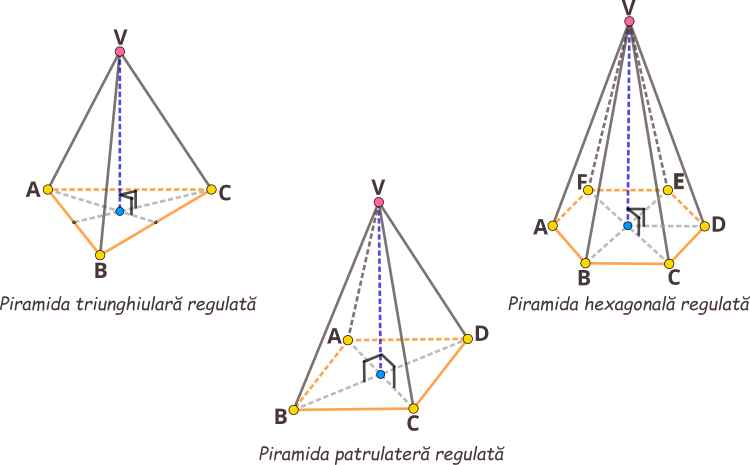 Dacă baza unei piramide este un poligon regulat și înălțimea piramidei trece prin centrul bazei, atunci piramida este regulată. Baza piramidei triunghiulare regulate este un triunghi echilateral. Baza unei piramide patrulatere regulate este un pătrat. Baza unei piramide hexagonale regulate este un hexagon regulat.