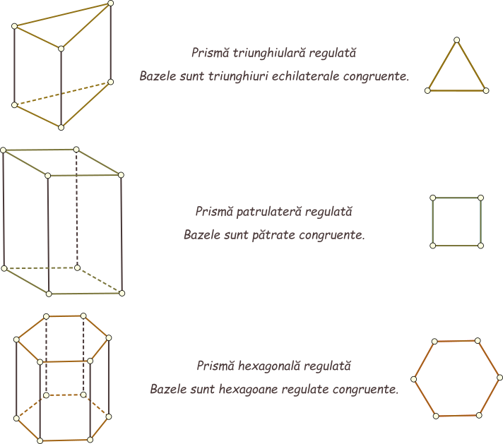 Prisma regulată este prisma dreaptă ale cărei baze sunt poligoane regulate (triunghiuri echilaterale sau pătrate sau pentagoane regulate sau hexagoane regulate etc.).