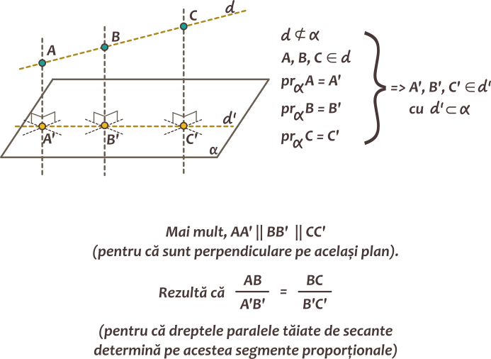 Proiecțiile pe un plan a trei puncte coliniare  sunt tot puncte coliniare.