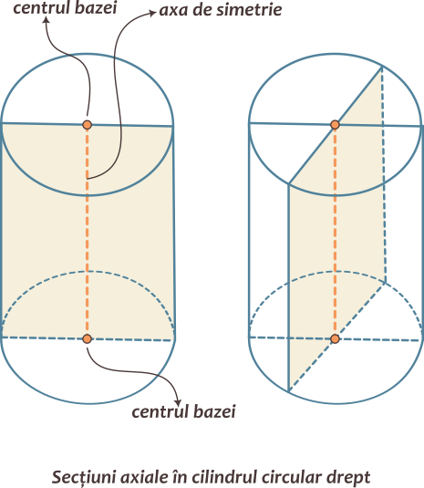 Cilindrul circular drept are o axă de simetrie determinată de centrele bazelor; admite o infinitate de secțiuni axiale;  secțiunile axiale sunt dreptunghiuri congruente; dimensiunile acestor dreptunghiuri sunt egale cu generatoarea cilindrului și cu diametrul bazei acestuia.