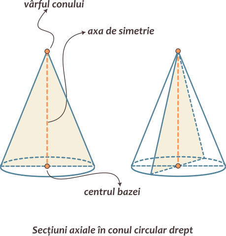 Conul circular drept are o axă de simetrie determinată de vârful conului și centrul cercului de la baza conului; admite o infinitate de secțiuni axiale; secțiunile axiale sunt triunghiuri isoscele congruente; bazele acestor triunghiuri sunt egale cu diametrul cercului de la baza conului, iar laturile congruente sunt generatoare ale conului.