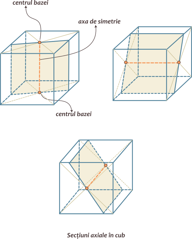 Cubul; are 3 axe de simetrie, determinate de centrele a două fețe opuse; admite o infinitate de secțiuni axiale; secțiunile axiale sunt dreptunghiuri.