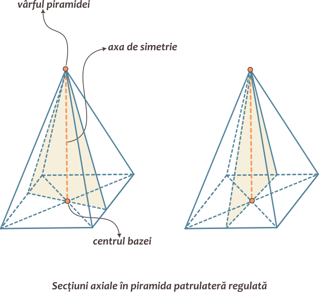 Piramida regulată patrulateră; are o singură axă de simetrie, determinată de centrul bazei și vârf; admite o infinitate de secțiuni axiale; secțiunile axiale sunt triunghiuri isoscele.