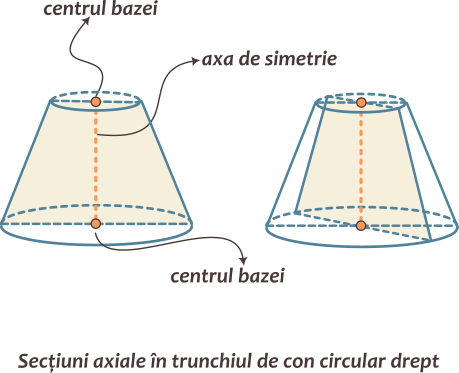 Trunchiul de con circular drept; are o axă de simetrie determinată de centrele bazele trunchiului de con circular drept; admite o infinitate de secțiuni axiale; secțiunile axiale sunt trapeze isoscele congruente; bazele acestor trapeze sunt egale cu diametrele bazelor trunchiului de con, iar laturile congruente sunt generatoare ale trunchiului de con.