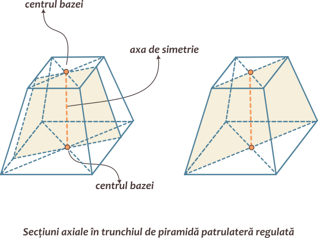 Trunchiul de piramidă regulată patrulateră; are o singură axă de simetrie, determinată de centrele bazelor; admite o infinitate de secțiuni axiale; secțiunile axiale sunt trapeze isoscele.