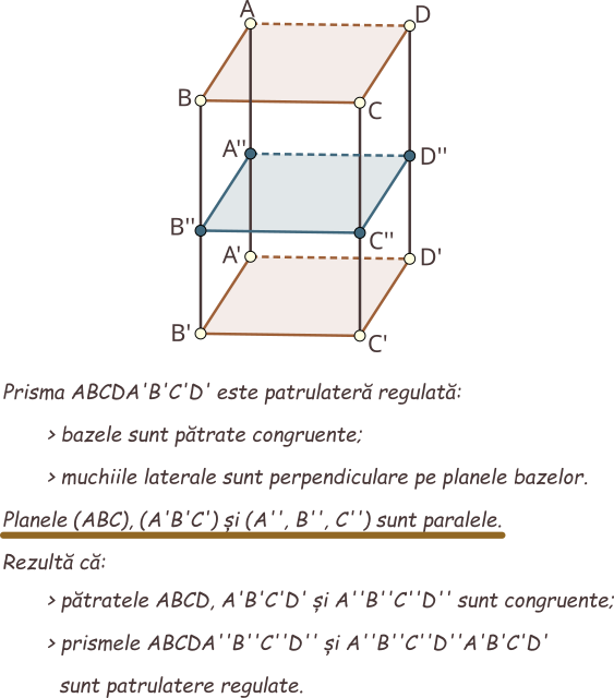 Dacă secționăm o prismă cu un plan paralel cu bazele, obținem o suprafață poligonală congruentă cu bazele. Dacă secționăm o prismă cu un plan paralel cu bazele, obținem două prisme cu bazele congruente cu bazele prismei inițiale. >Dacă secționăm o prismă dreaptă cu un plan paralel cu bazele, obținem două prisme drepte. Dacă secționăm o prismă regulată cu un plan paralel cu bazele, obținem două prisme regulate.