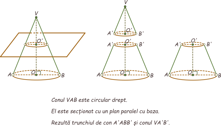 Dacă secționăm un con circular drept cu un plan paralel cu baza conului, se obțin două corpuri geometrice: un con mai mic, cu același vârf ca și conul inițial, și un trunchi de con circular drept.