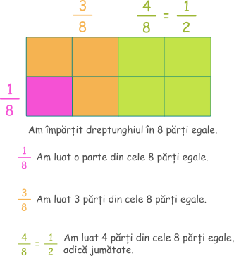 Fracțiile pot fi reprezentate prin segmente sau figuri geometrice.
