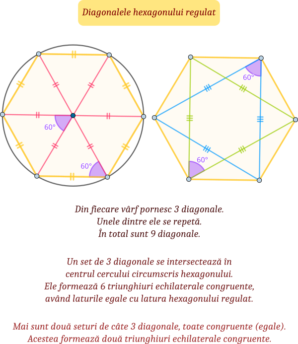 Hexagon regulat - 9 diagonale; 3 dintre ele, congruente, se intersectează în centrul cercului circumscris hexagonului și formează șase triunghiuri echilaterale congruente; celelalte șase, congruente, formează două triunghiuri echilaterale congruente.