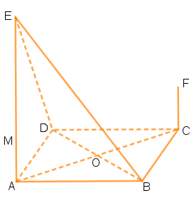 În figura de mai jos este reprezentat un pătrat ABCD cu AB = 8√2 cm. Pe planul pătratului se construiesc perpendicularele AE și CF astfel încât AE = 8 cm și CF = 4 cm.